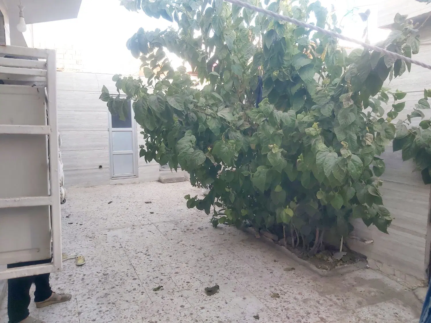 فروش خانه درعشایر5