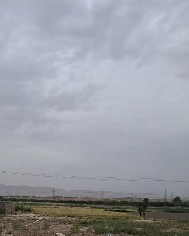 ۱۷ هزار متر زمین دیمه زار