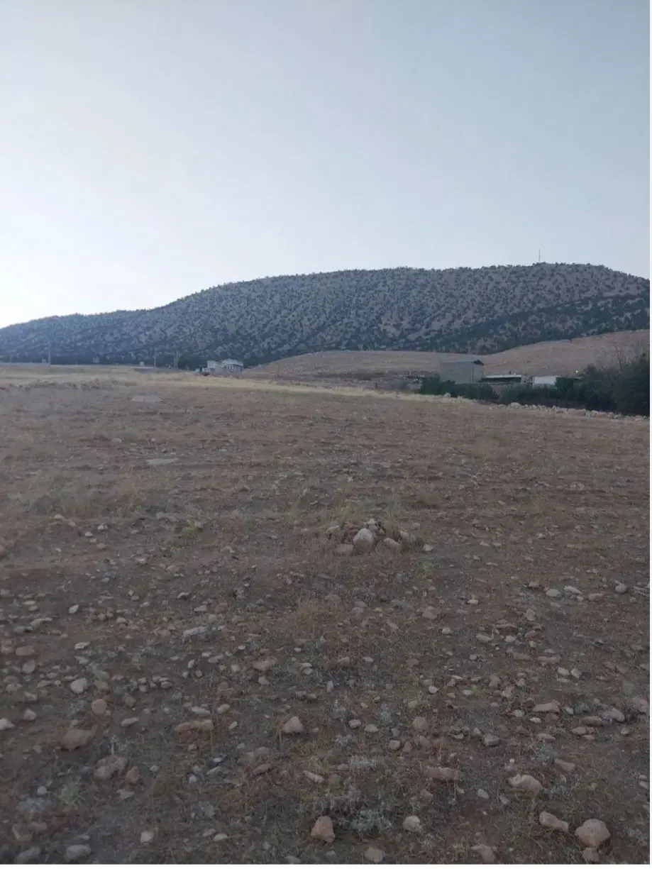 فروش زمین در کوهدشت لرستان