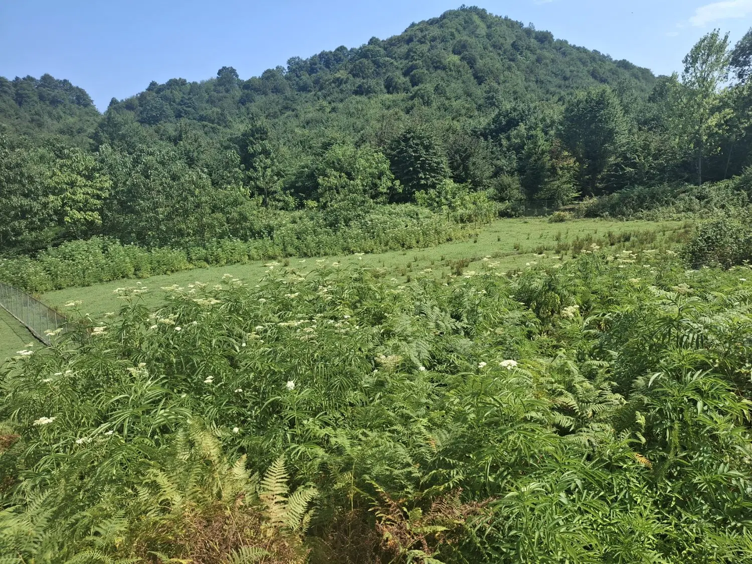 فروش زمین ویلایی نهالستان خانه های اسیاب