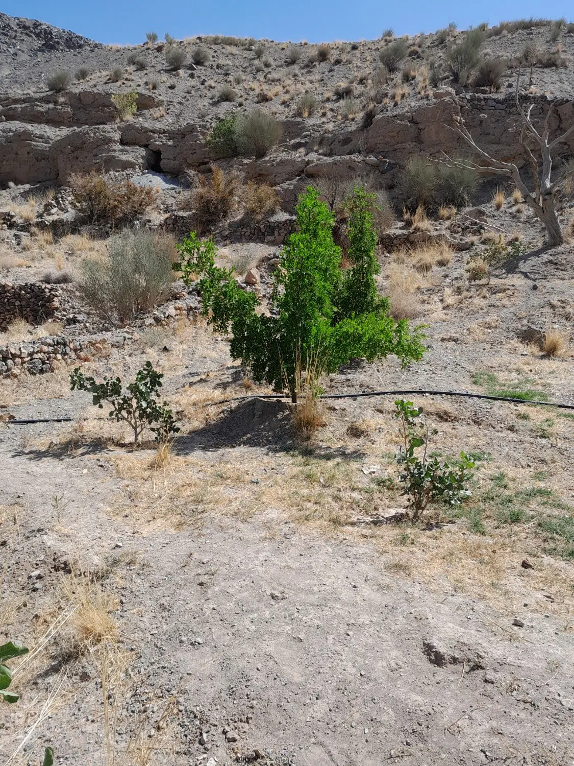 زمینه