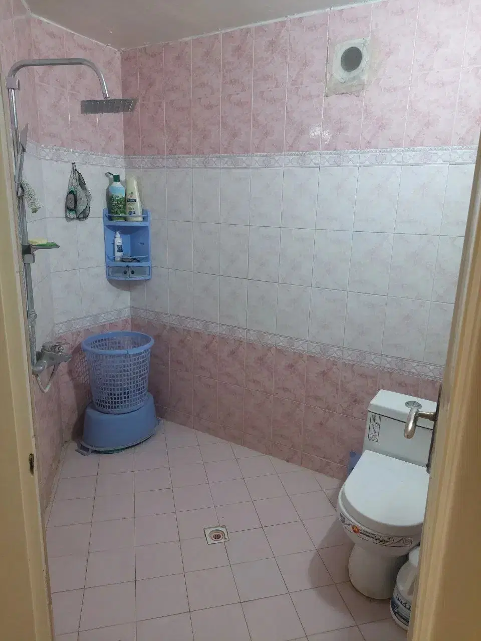 واگذاری کارخانه لبنیات