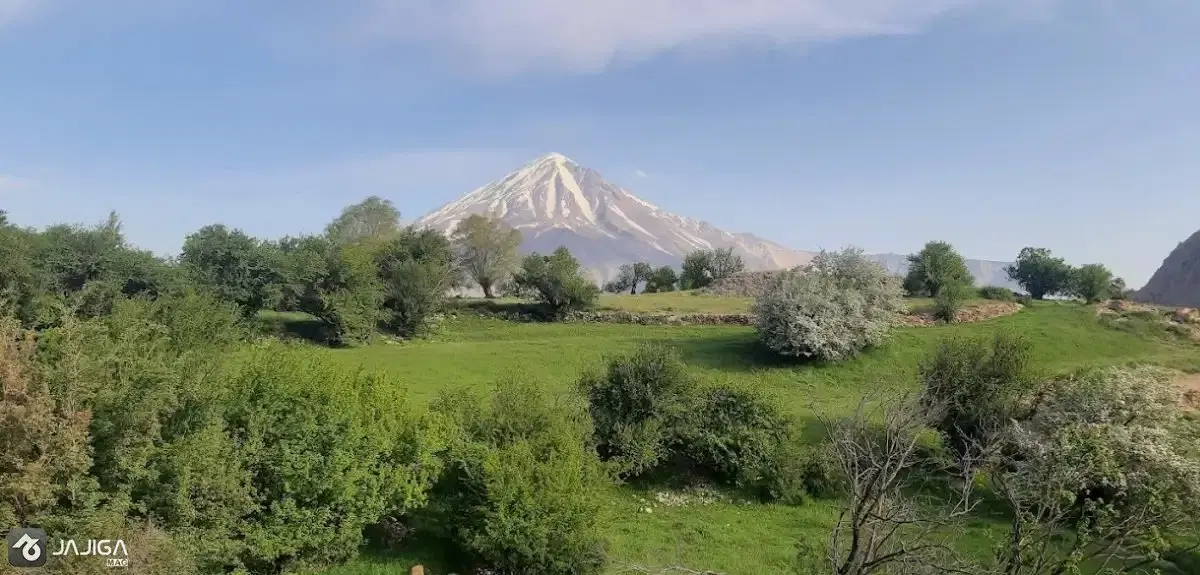 زمین