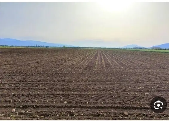 اجاره زمین کشاورزی