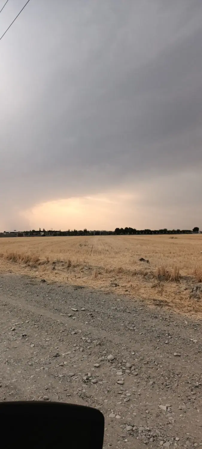 زمین ۴۲۰۰ متری در روستای علی سید(تنکمان)