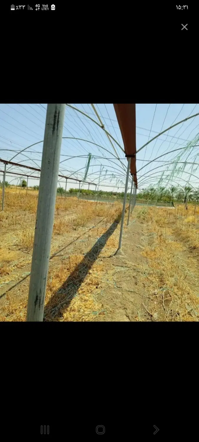 گلخانه اجاره ای