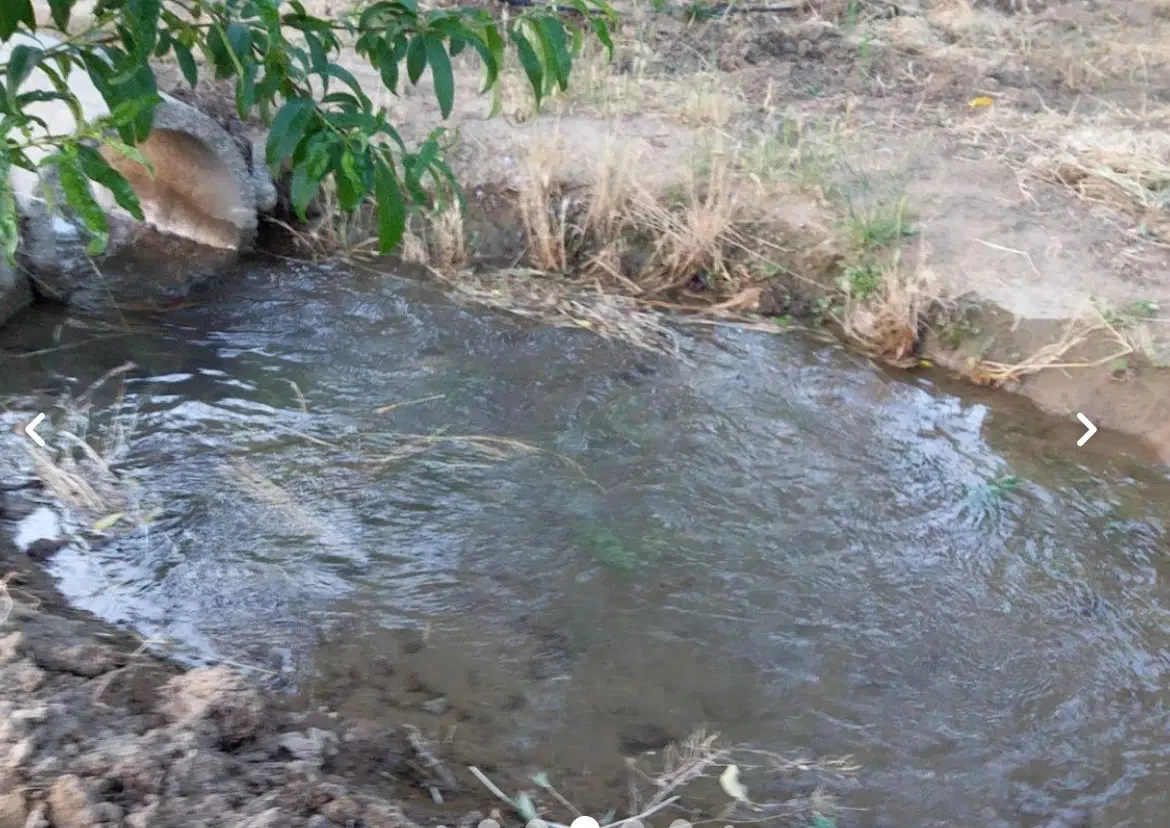 باغچه میوه در شهر هشتگرد تنکمان
