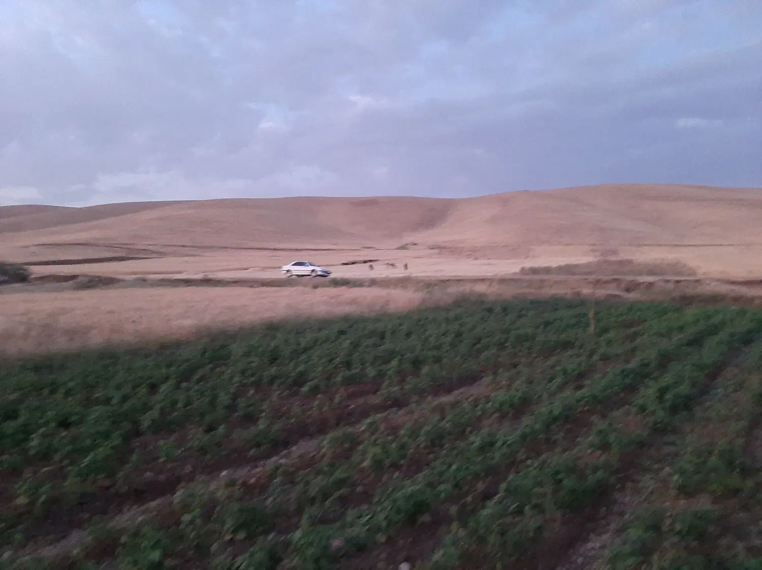 اجاره زمین کشاورزی برای سال زراعی ۱۴۰۵- ۱۴۰۶
