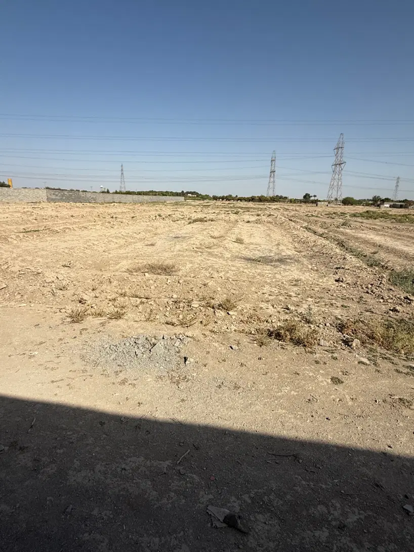 زمین باغی