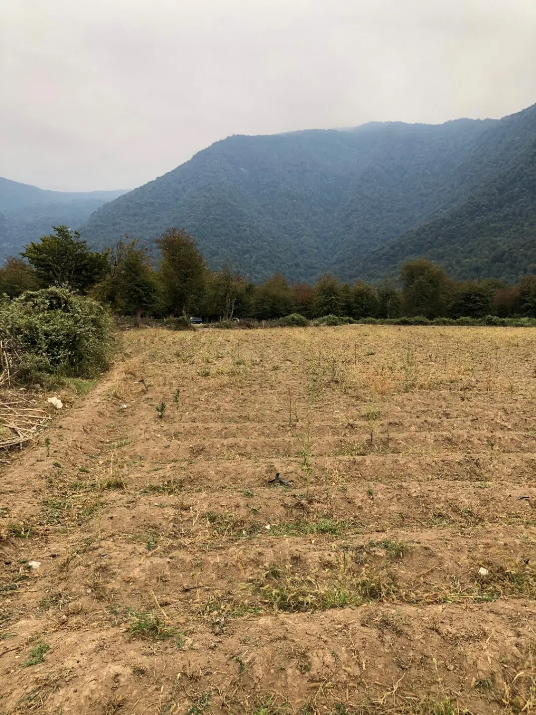 زمین کشاورزی