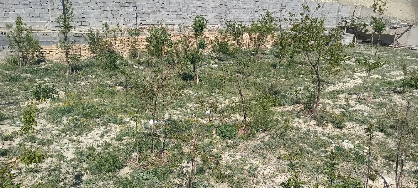 زمین با اعیان در کرشت