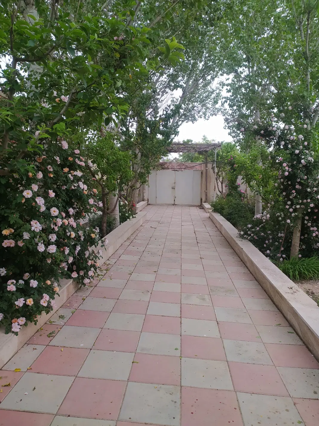 ویلا 1000متری سنددار