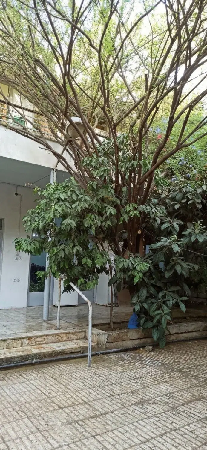 ویلایی ارم، خوش قواره، بر ایده آل