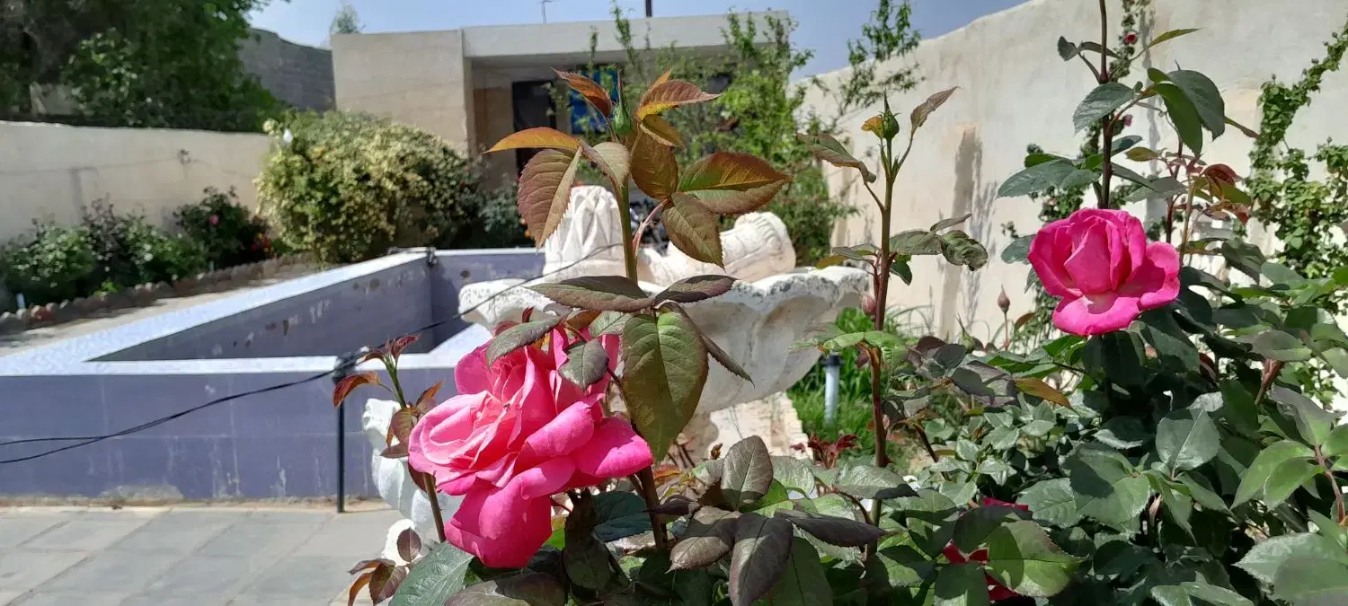 باغچه ۱۱۰۰متری بسیار زیبا