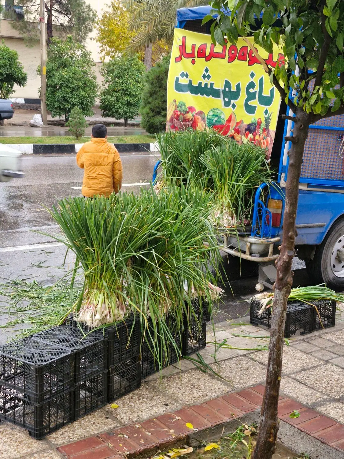 غرفه سبزی میوه فروشی