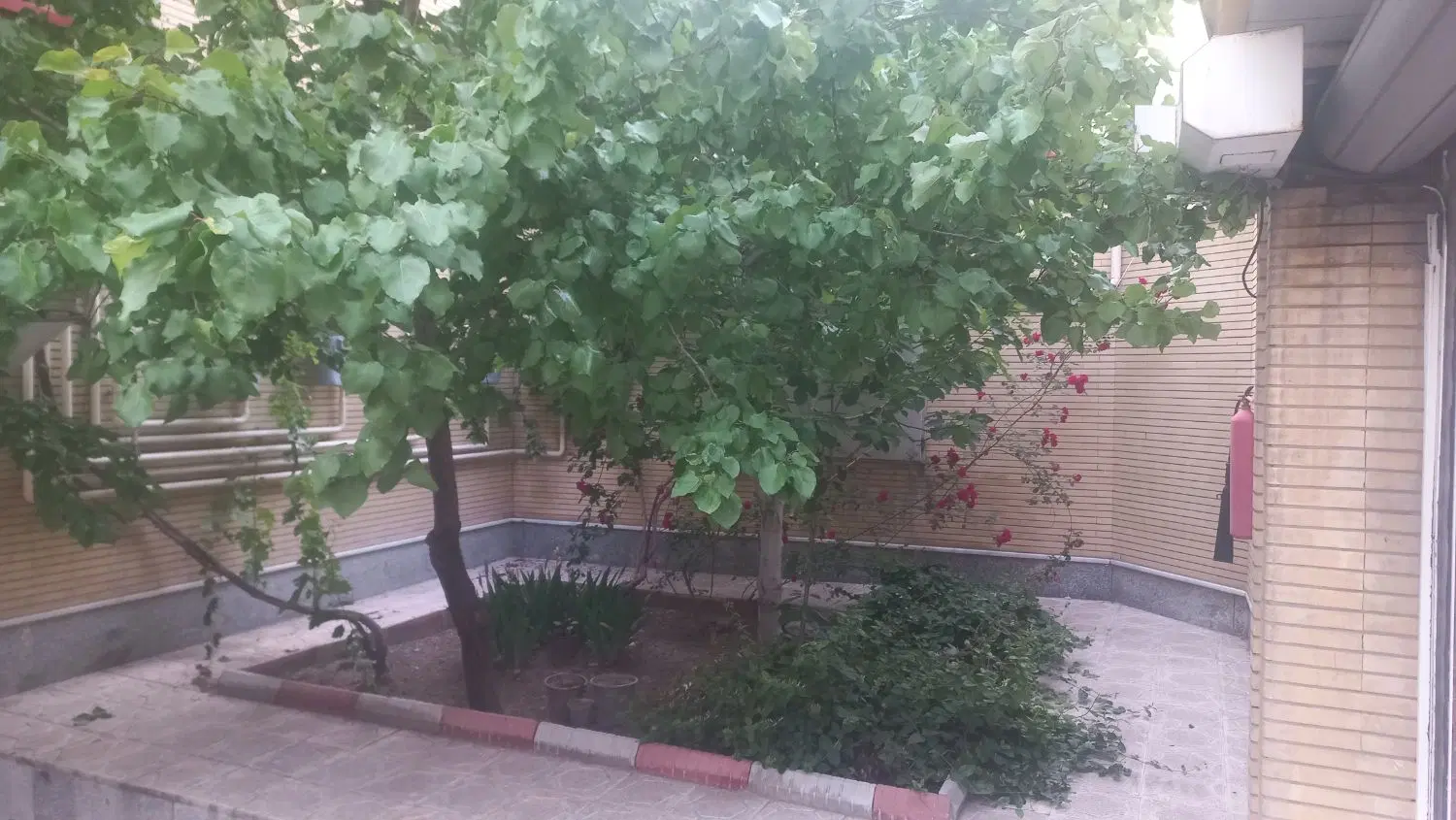 زمین تجاری