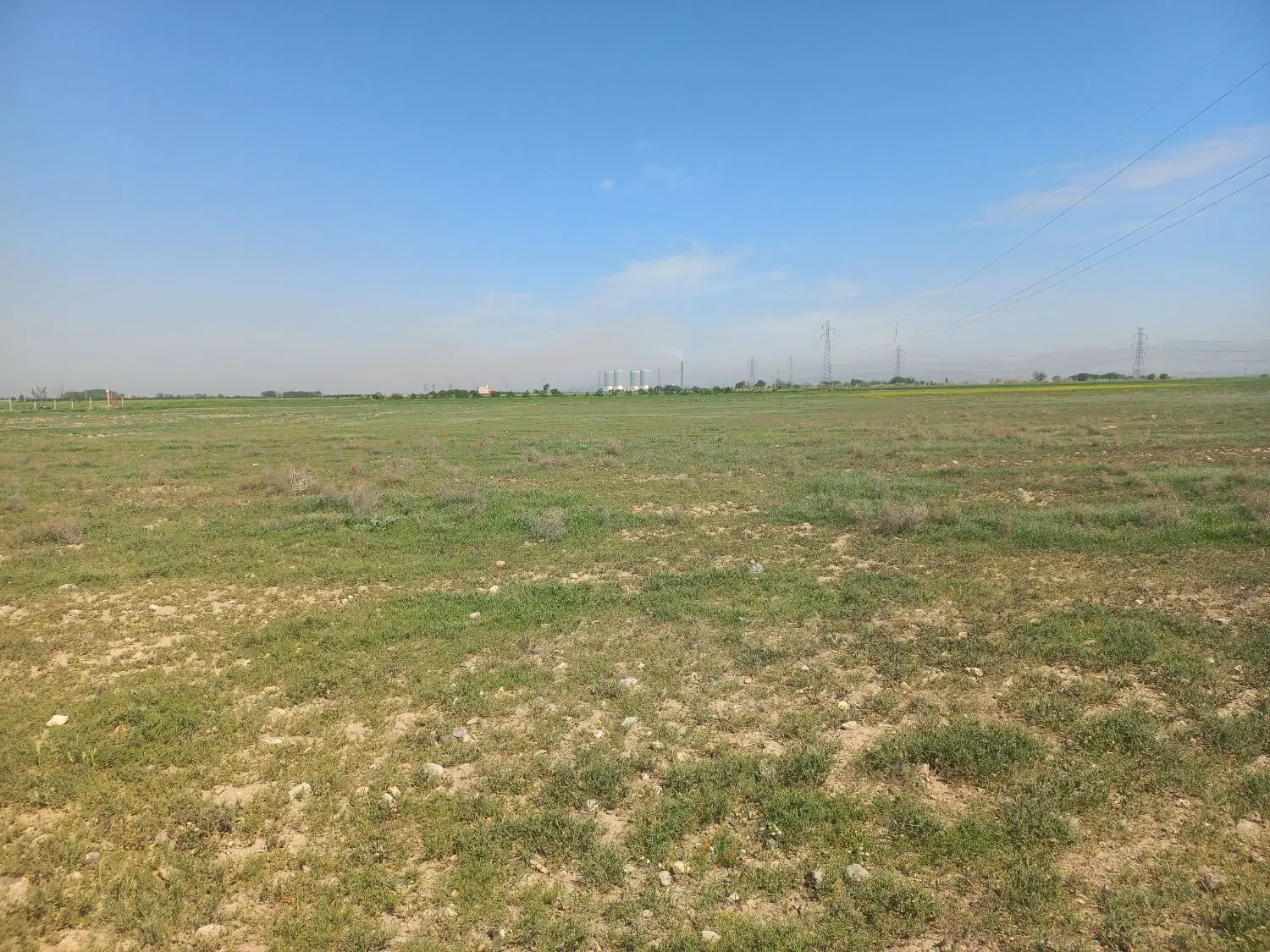 زمین و مجوز گلخانه