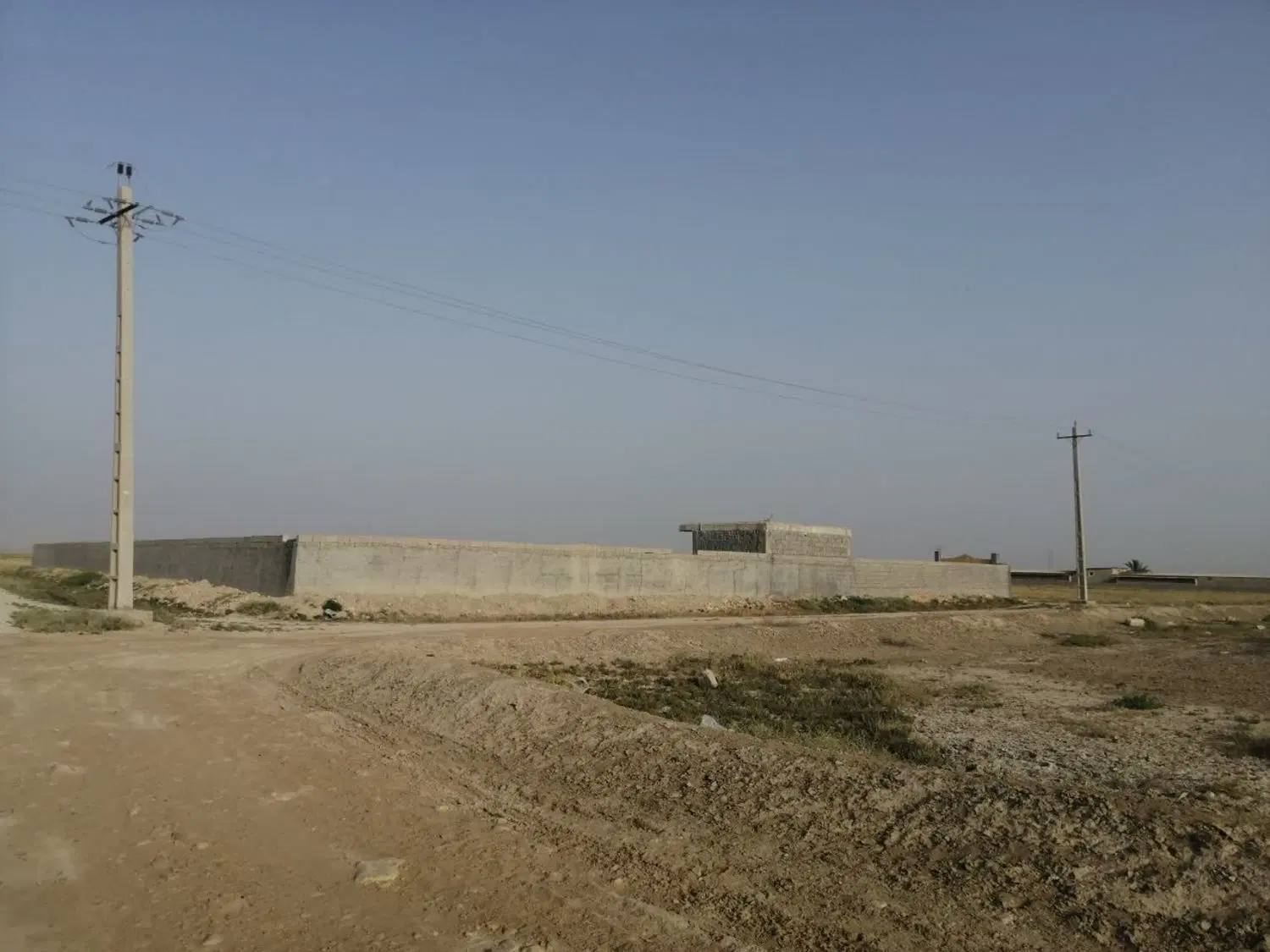 دامداری