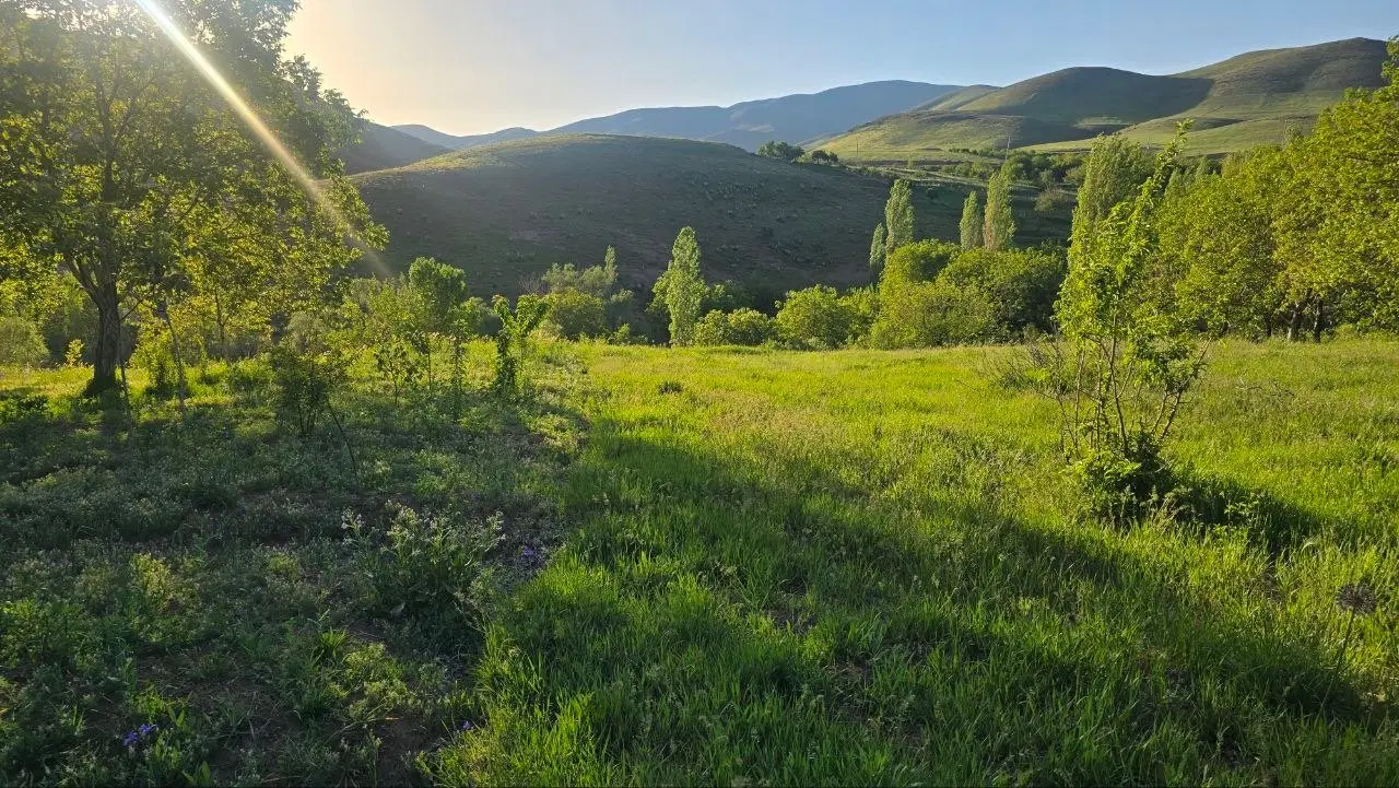 فروش باغ ۷۵۰ متری رویایی