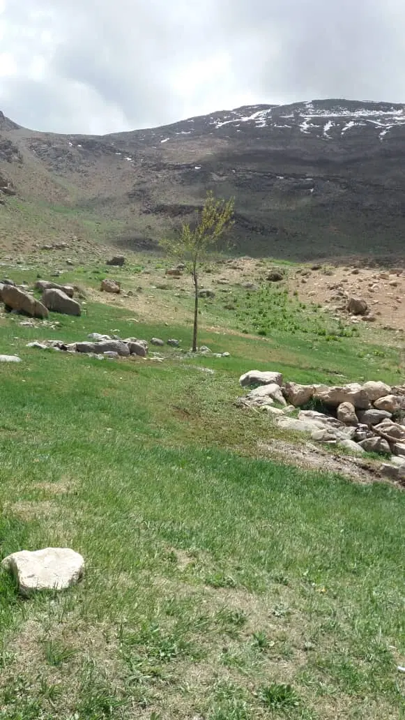 زمین ثبت خاوند