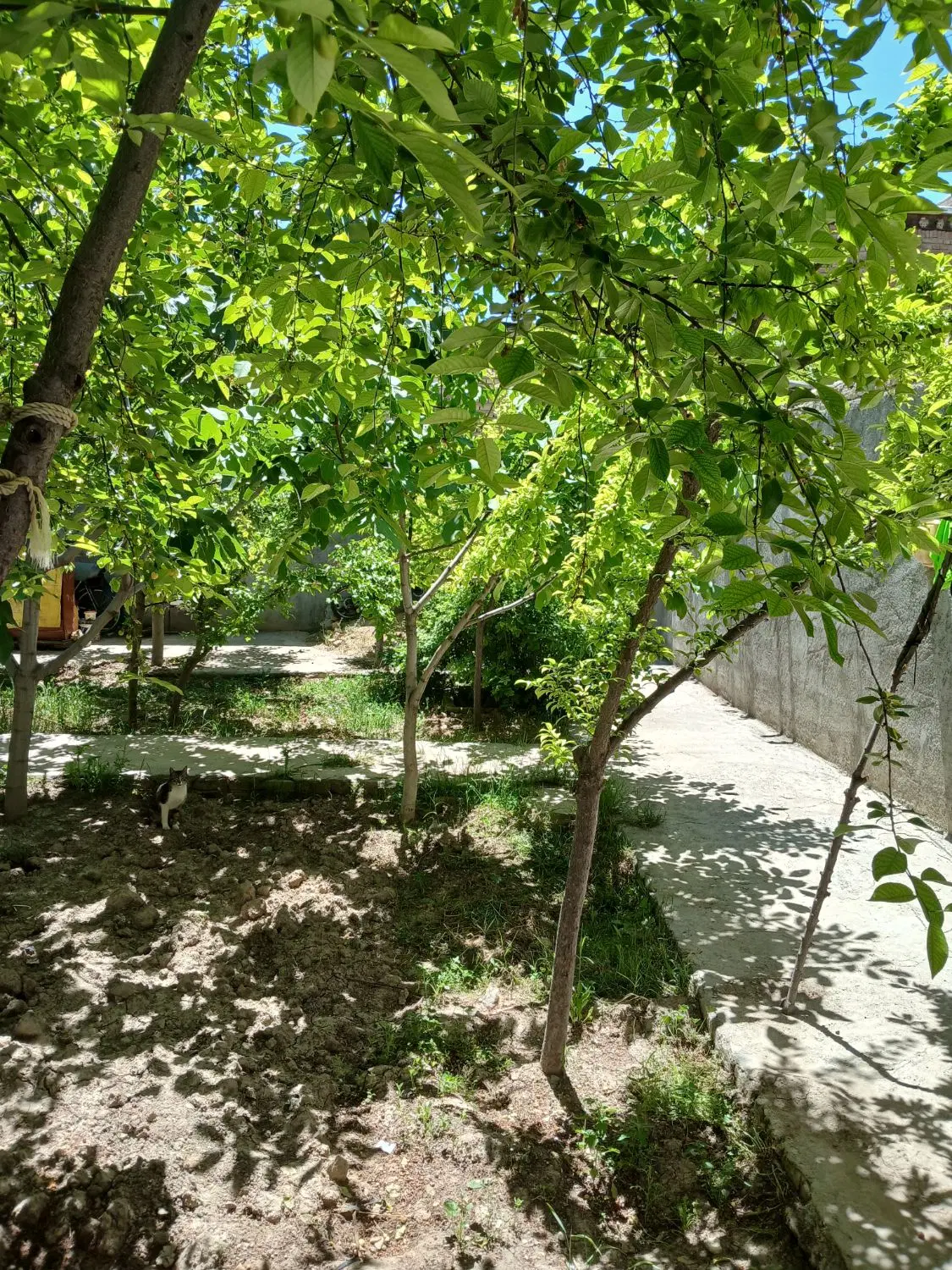 فروش منزل ویلایی بازسازی شده