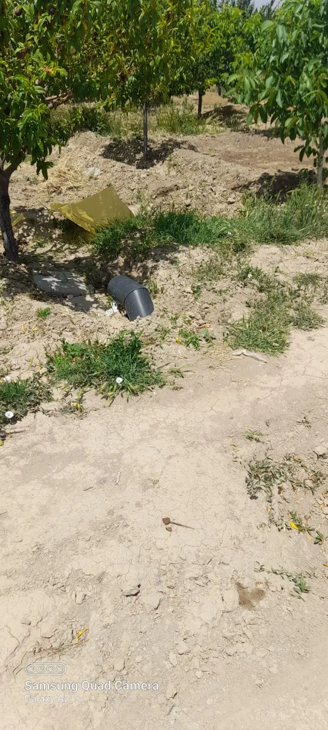 فروش باغچه ۵۷۵متری