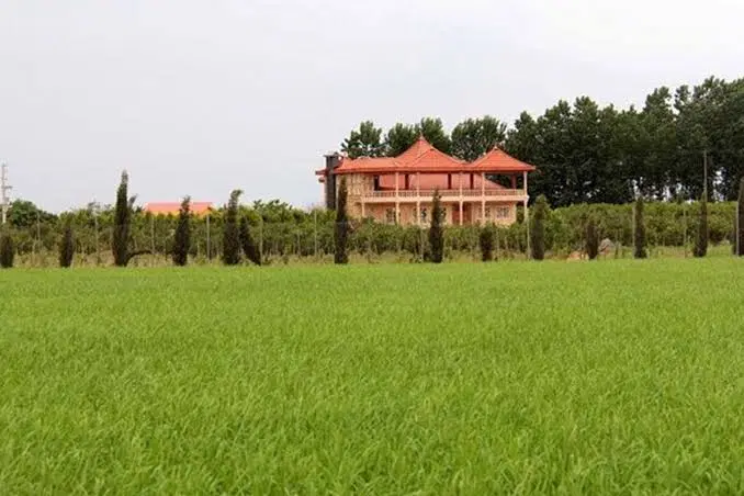 زمین ۴۳۰ متری روستایی(مسکونی)