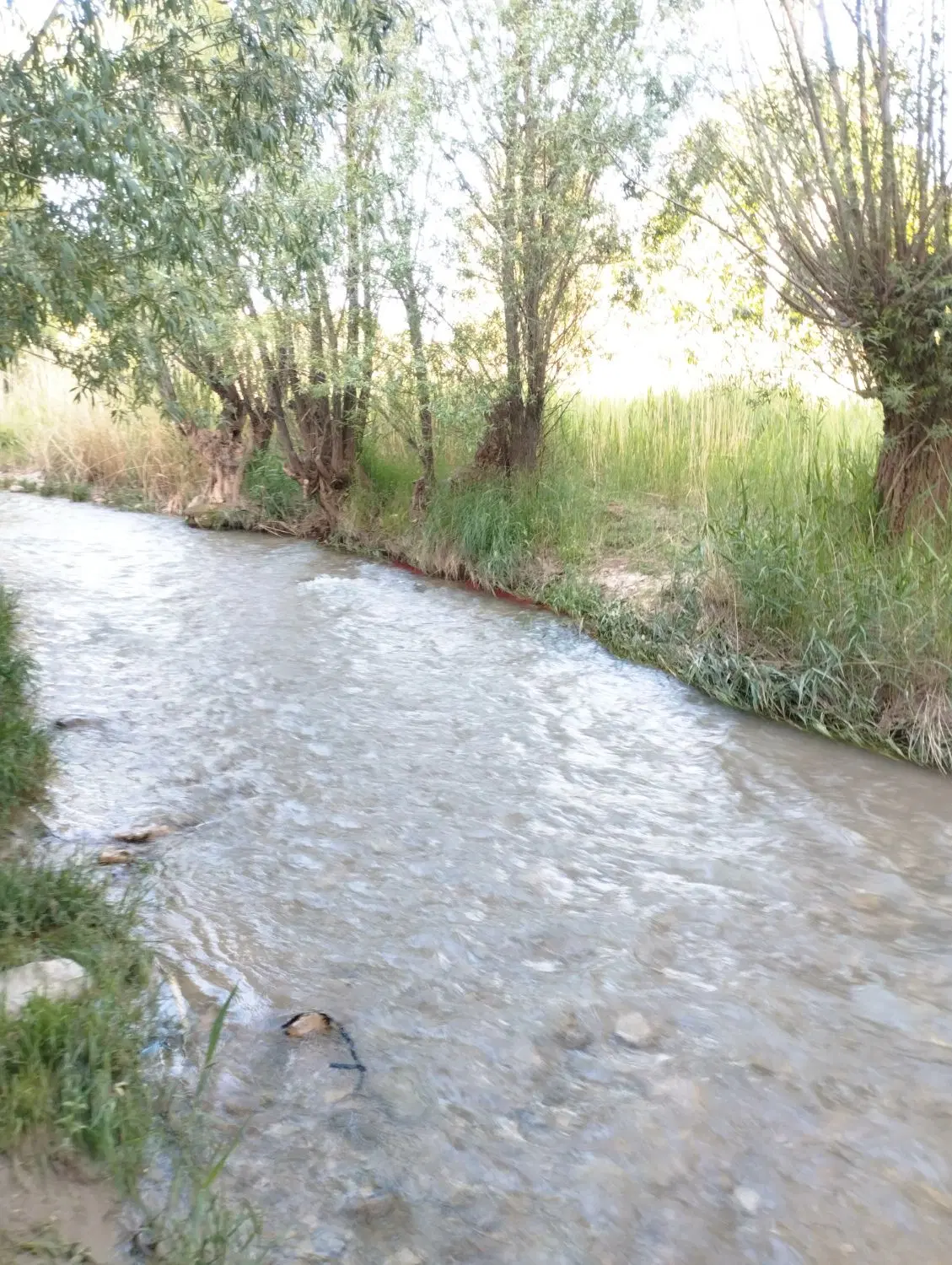 اقامتگاه بوم‌گردی مهدیار روستای اردغان