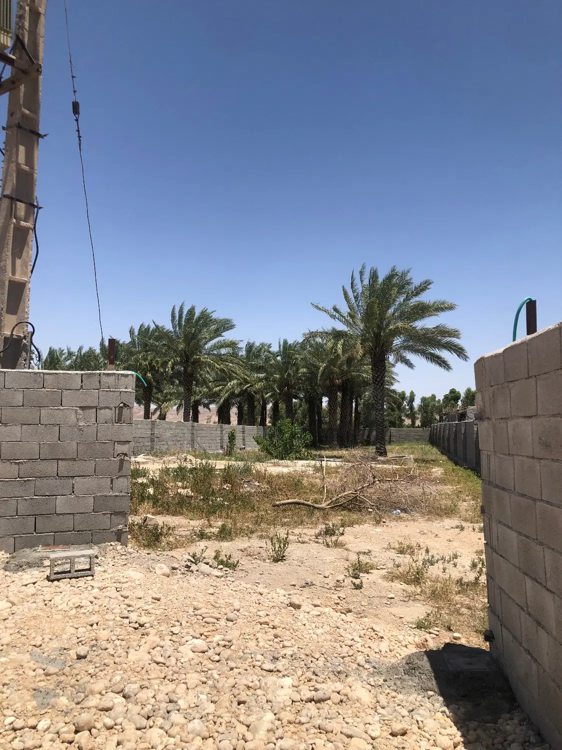 فروش زمین باغی
