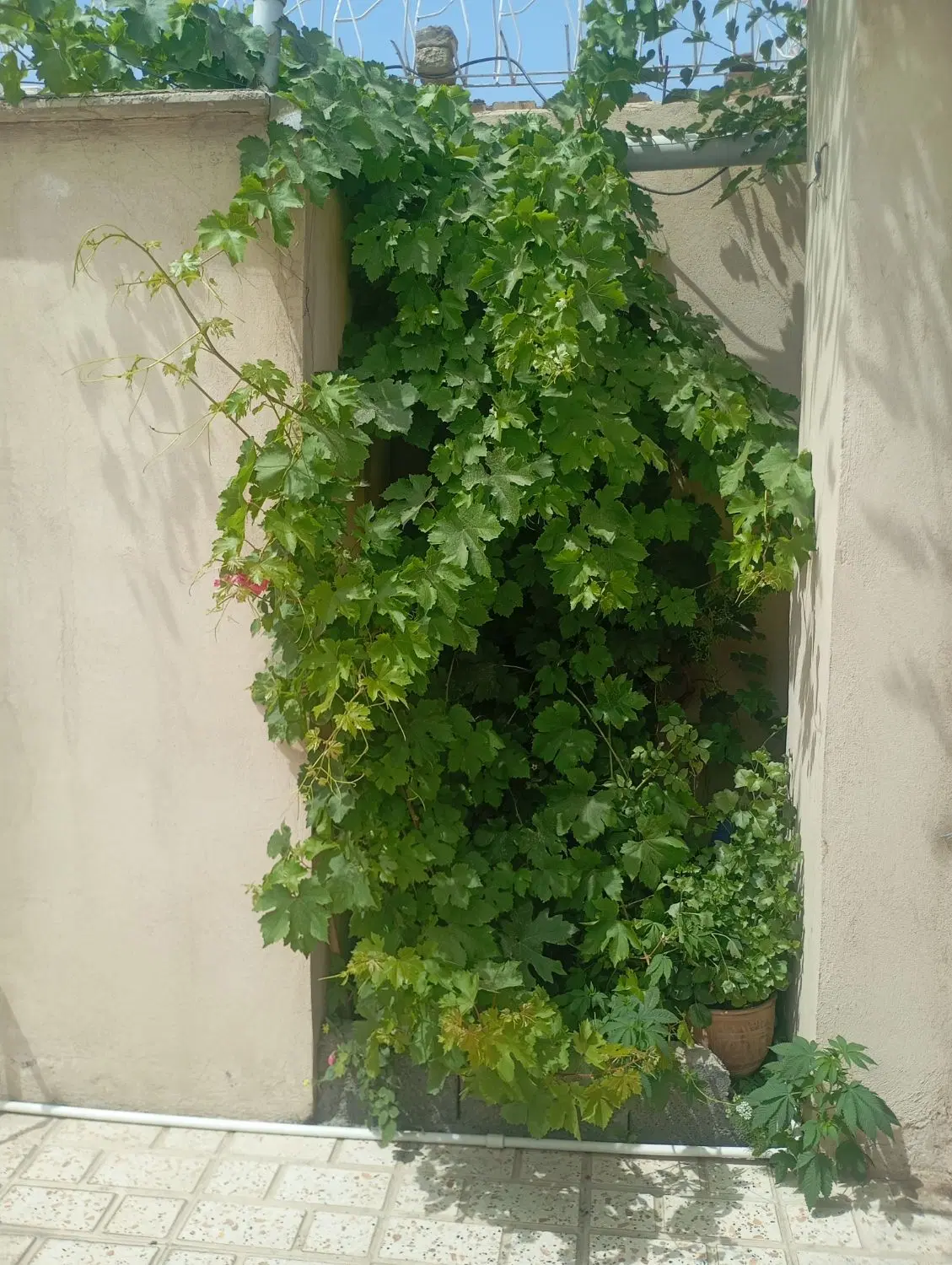 خانه ویلایی