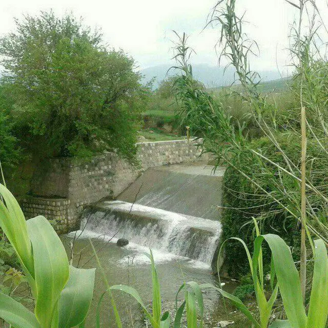 زمین مسکونی