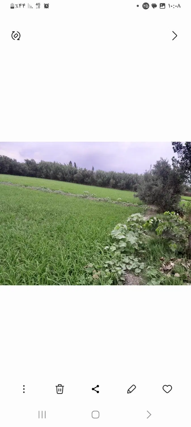 فروش زمین باغی روستای اوجابن