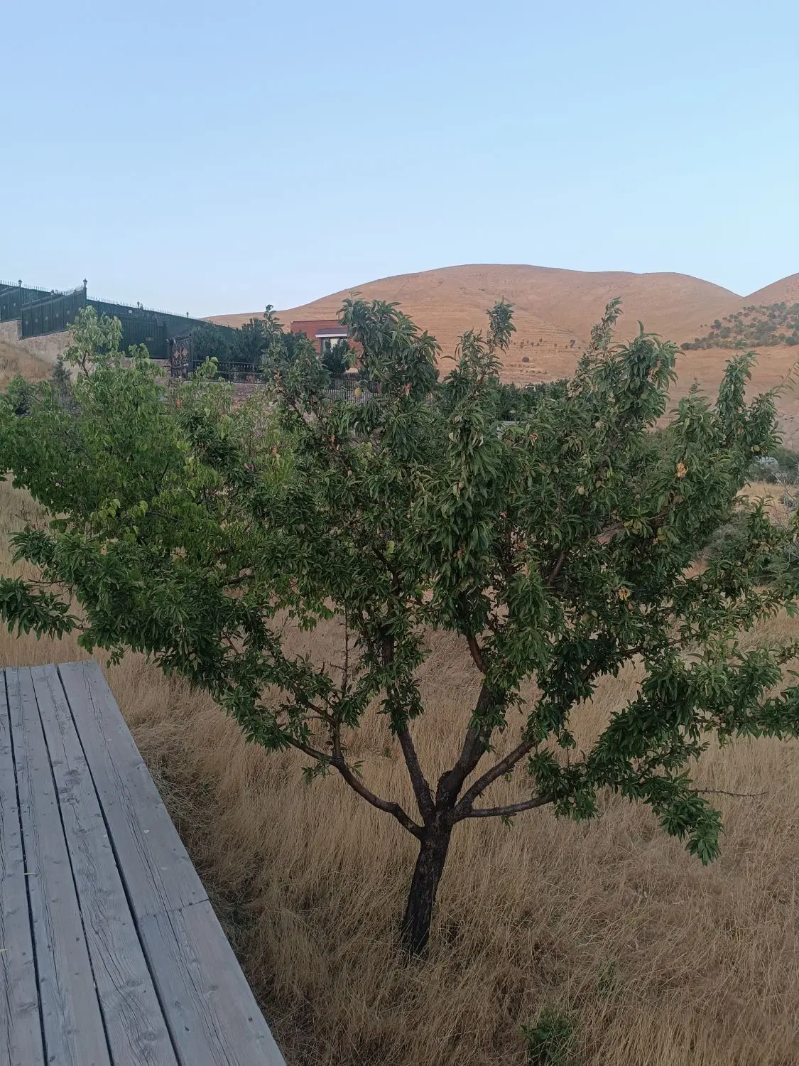 باغ ویلا جاده الموت ابتدای روستای زرشک