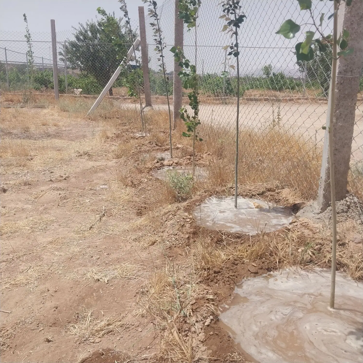 فروش‌زمین‌مسکونی‌شهرک‌کارمندان‌۱۲متری‌..قطعی