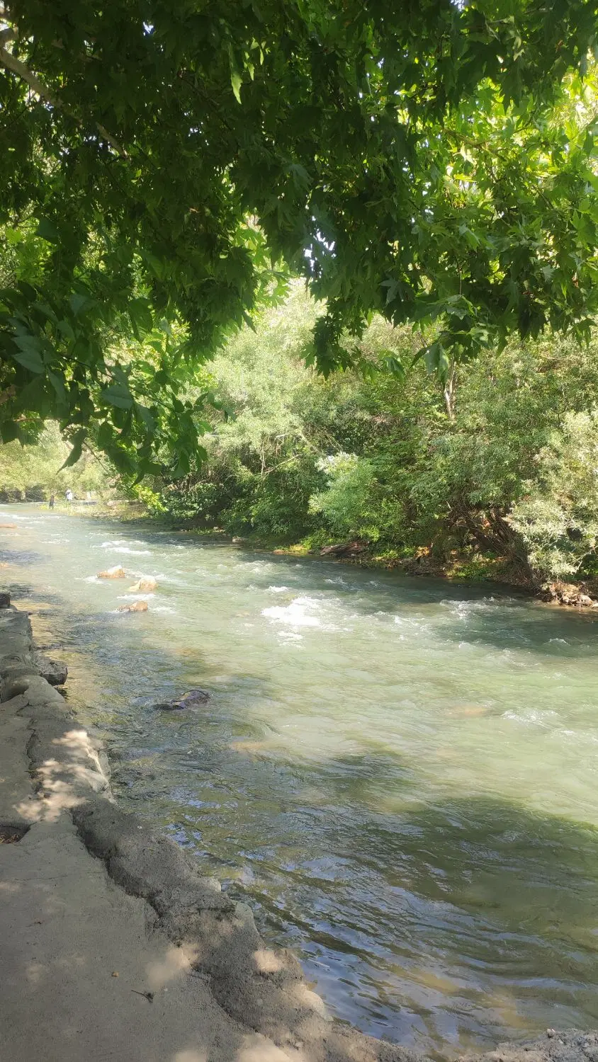 اجاره باغ رستوران