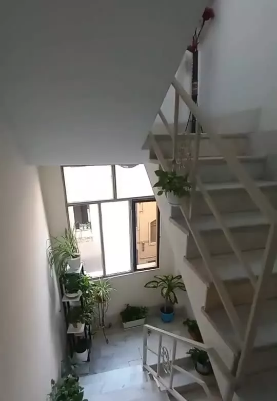 خیابان مالک اشتر  ۵۵ متر
