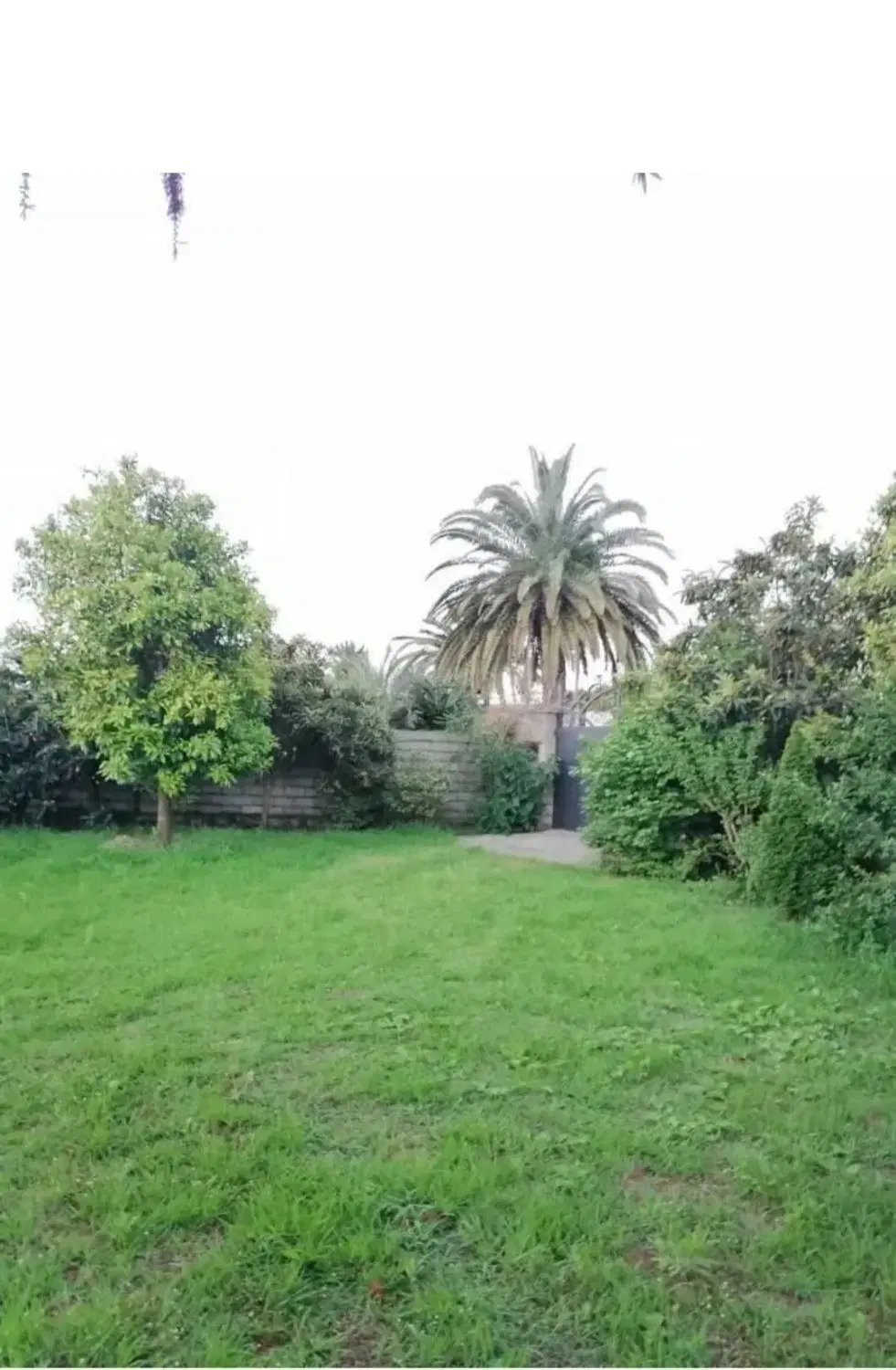 فروش  زمین