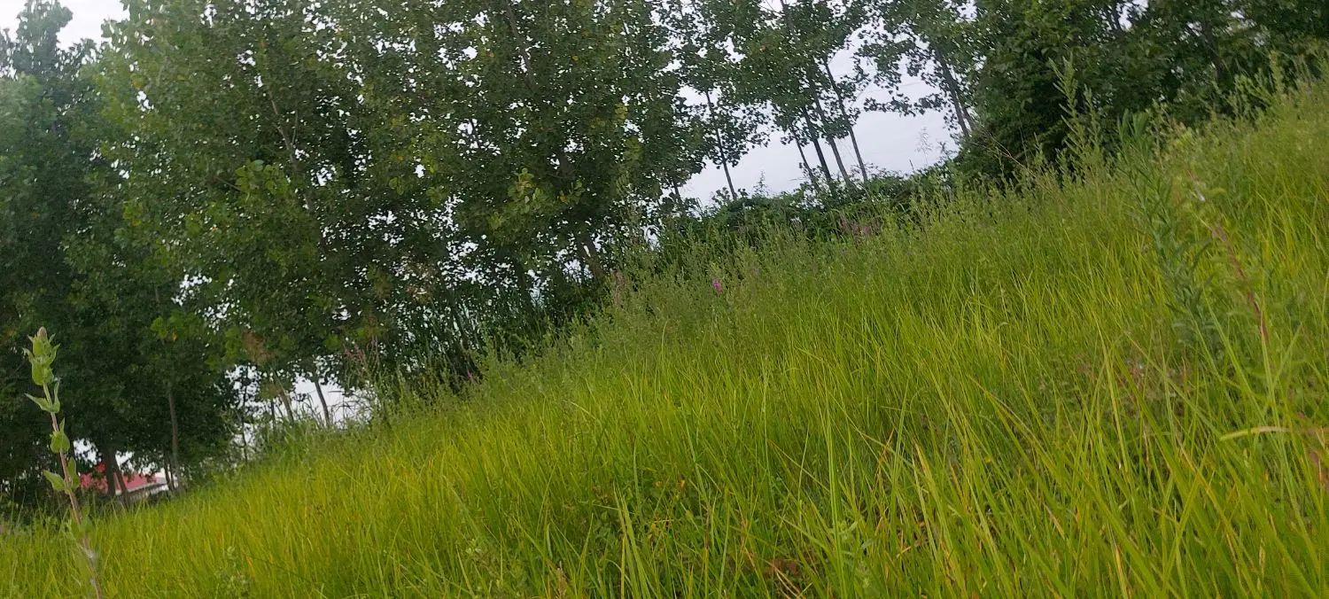 زمینی درجوارخانه ویلایی