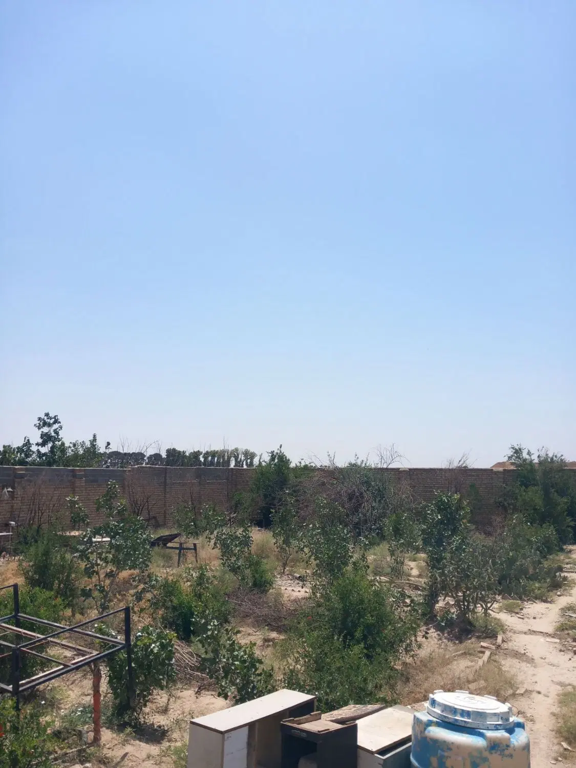 چهار دیواری(باغچه)
