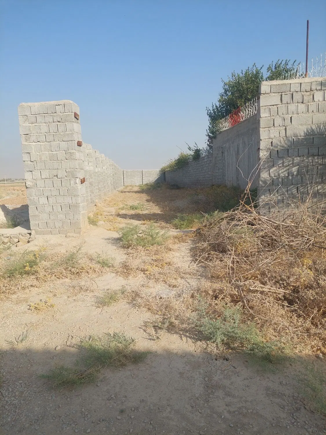 فروش حصاردوکله یا(دورونده)