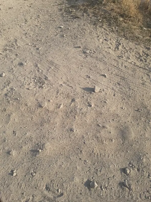 قطعه ۳۰۰متر تره بارشهریار