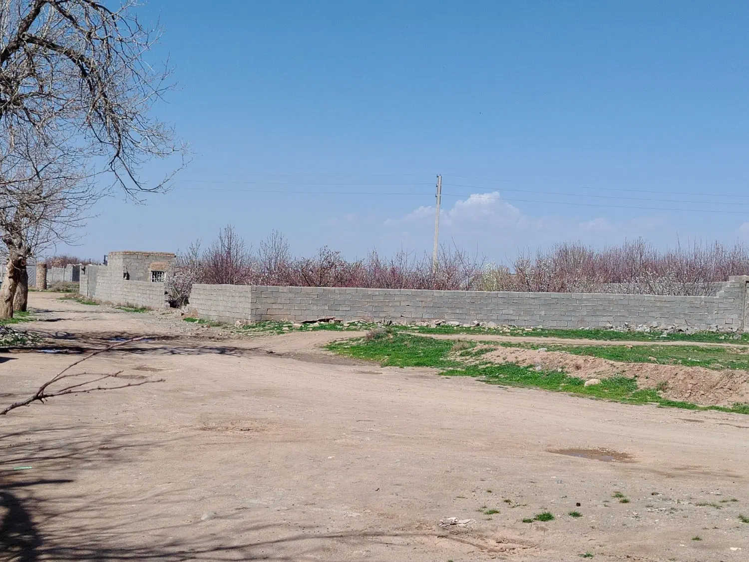 باغ فروشی در خوش بالا