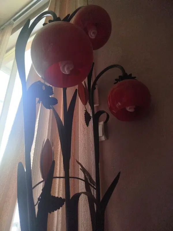 رهن اجاره خانه در باغمعروف