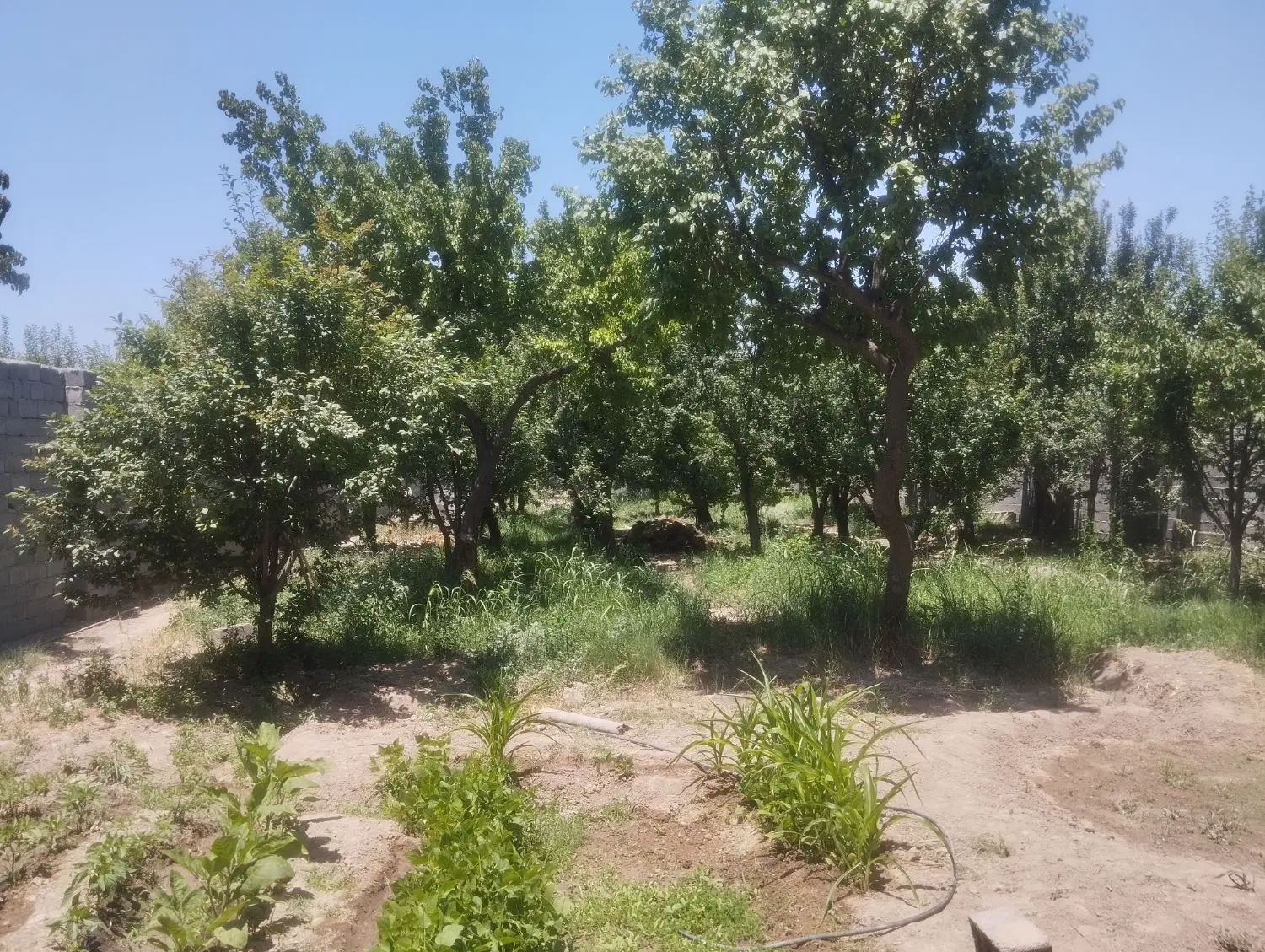 باغ چهار دیواری شهریار