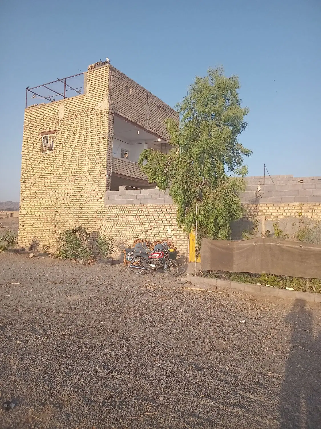دامداری
