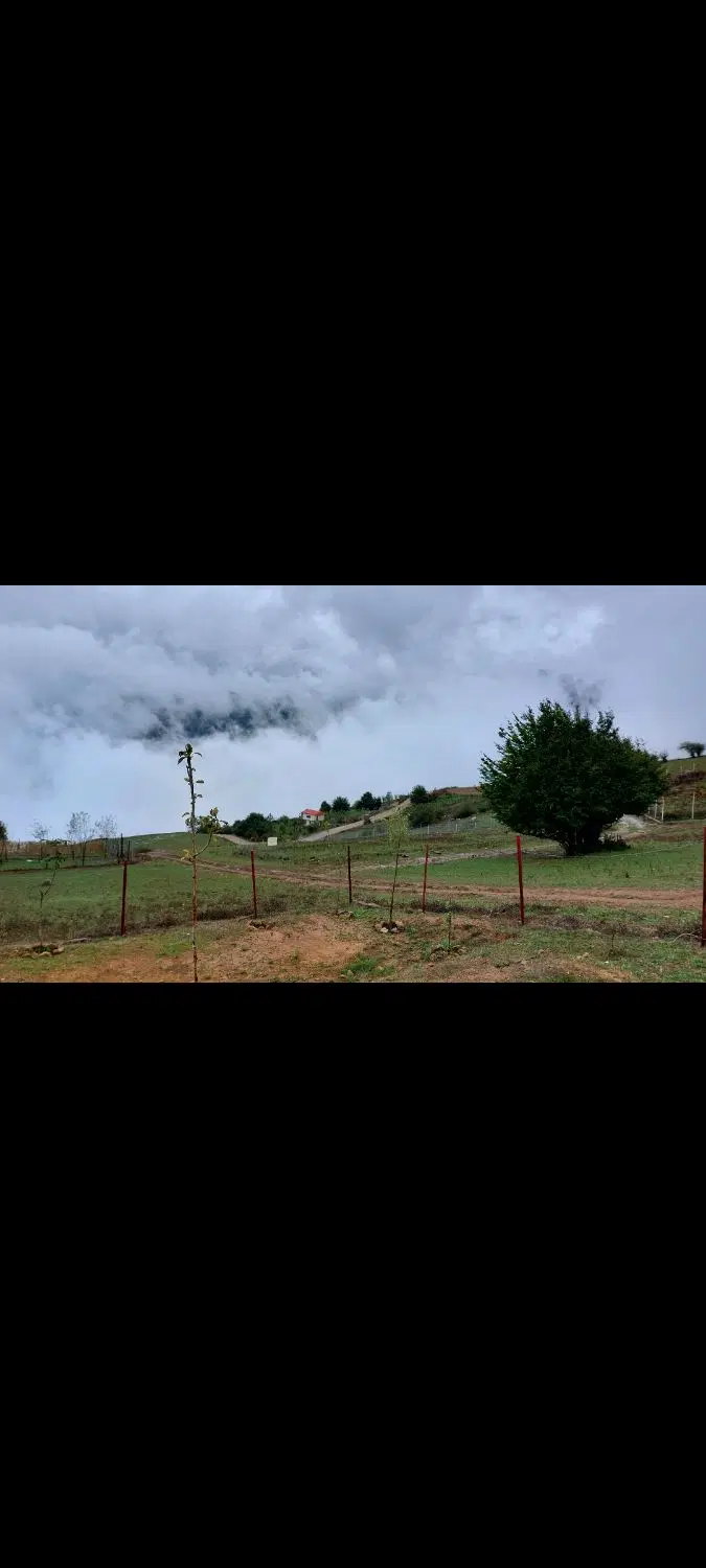 زمین باغی  روستای توریستی پاقلعه با ویوی ابدی