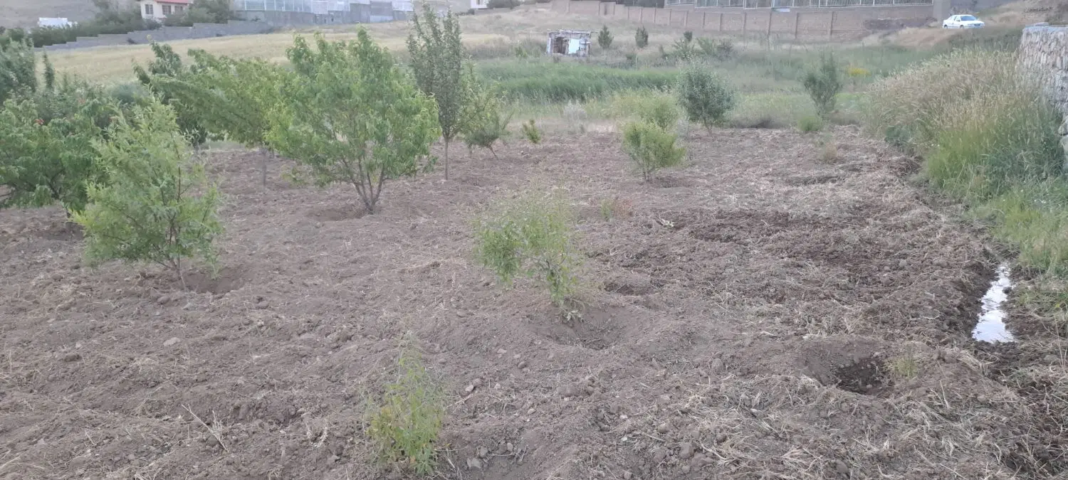باغ روستای زرشک