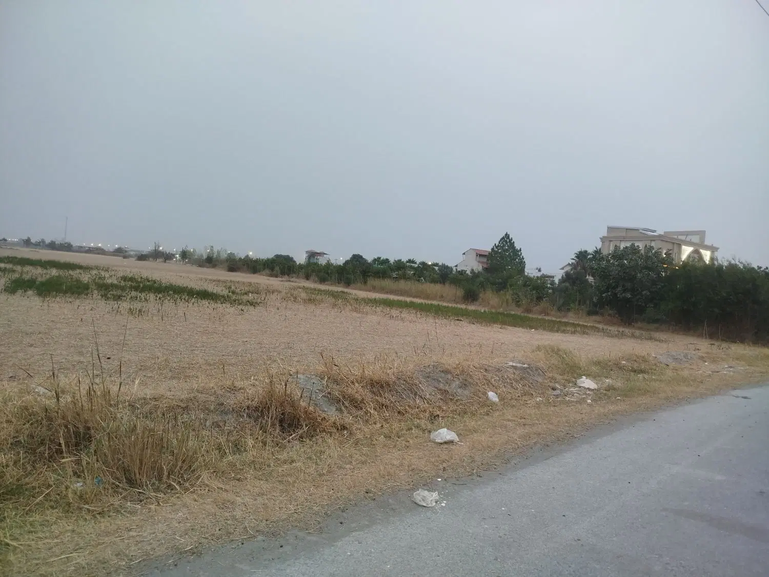 زمین باغی