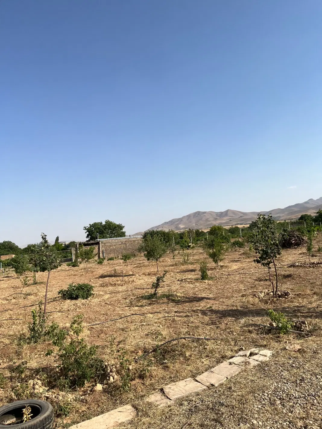 باغ با الونک و سهم آب و سند دار