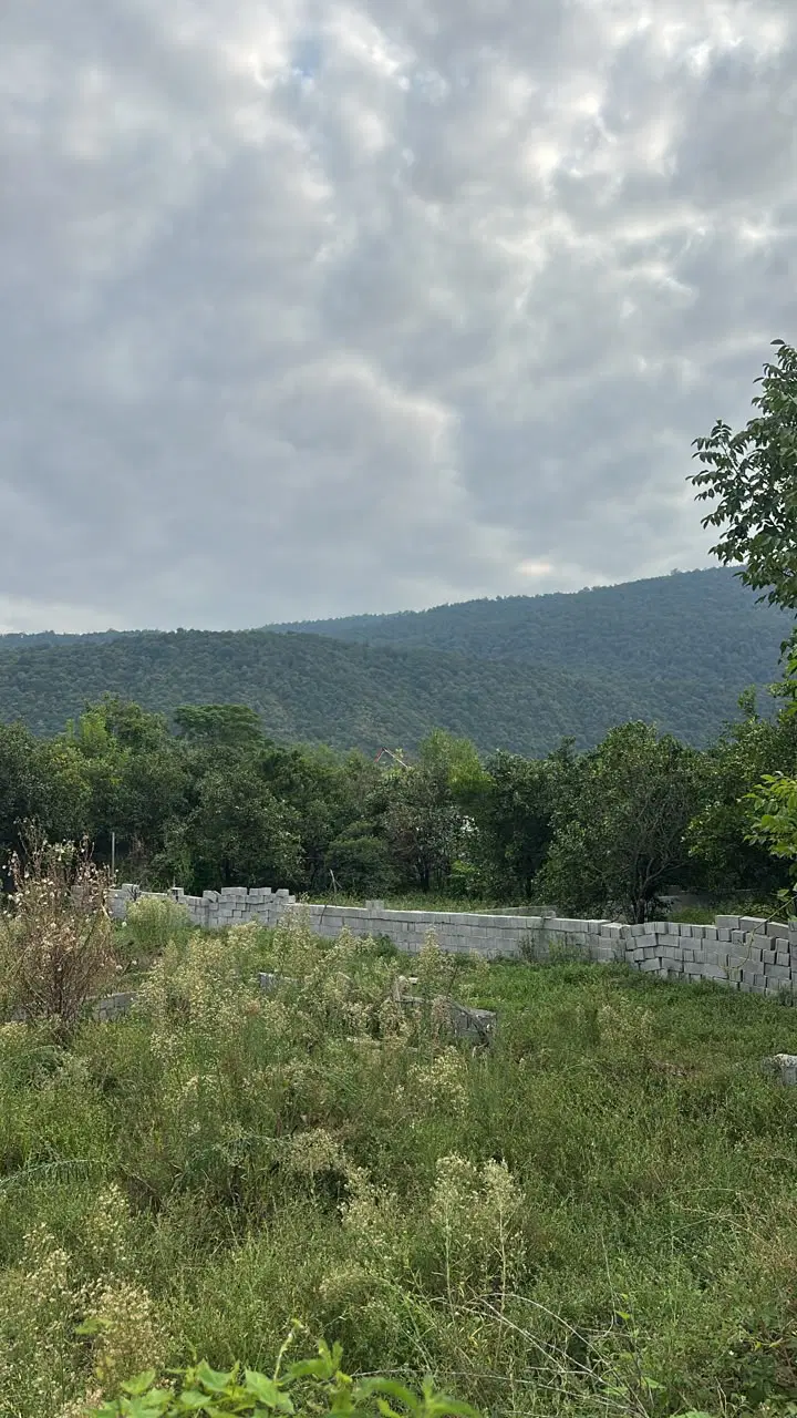 فروش زمین زیر قیمت در کلاچای